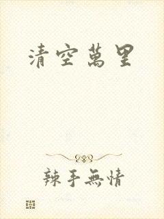 清空万里