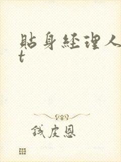 贴身经理人txt