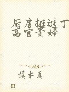 厨房挺进丁字裤高官贵妇封面