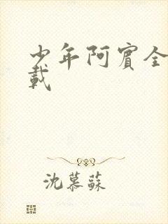 少年阿宾全集下载封面