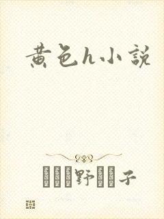 黄色h小说