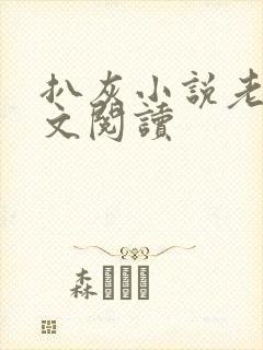 扒灰小说老马全文阅读封面