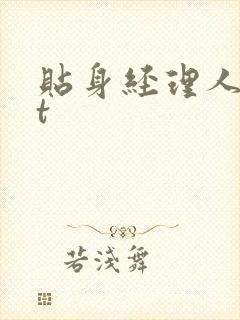 贴身经理人txt
