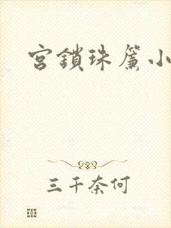宫锁珠帘小说封面
