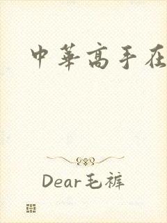 中华高手在异世