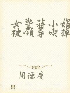 女警蒋小娟的奶被领导吃掉了封面