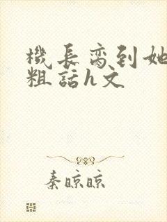 机长脔到她哭h粗话h文封面