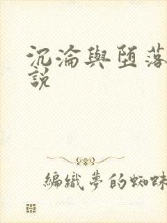 沉沦与堕落的小说封面