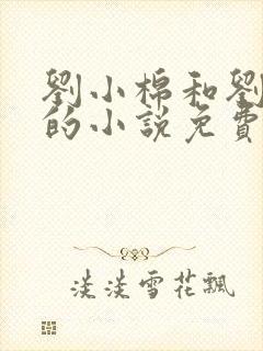 刘小棉和刘易文的小说免费阅读