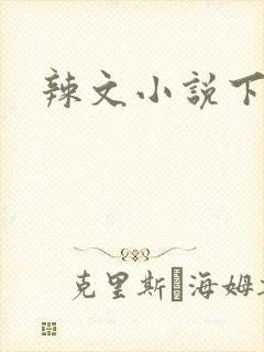 辣文小说下载