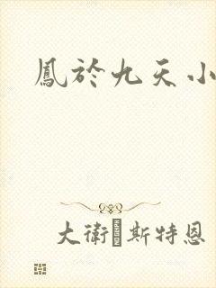 凤于九天小说
