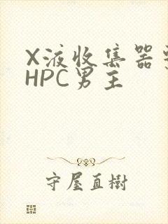 X液收集器系统HPC男主封面