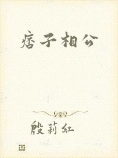 痞子相公