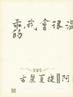 乖,我会很温柔的封面