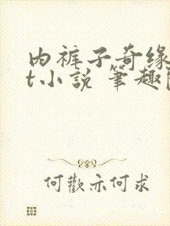 内裤子奇缘txt小说 笔趣阁