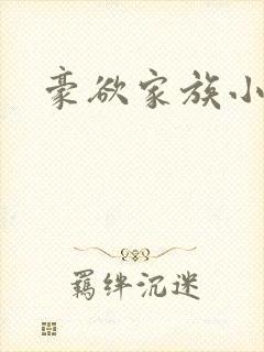 豪欲家族小说