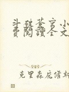 斗破苍穹小说免费阅读全文无弹窗