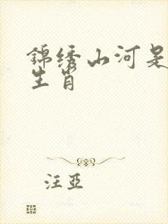 锦绣山河是什么生肖封面