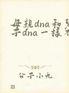 母亲dna和儿子dna一样不