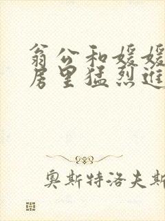 翁公和媛媛在厨房里猛烈进出
