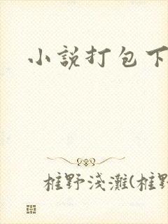 小说打包下载