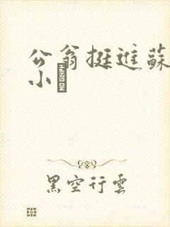 公翁挺进苏玥的小泬封面