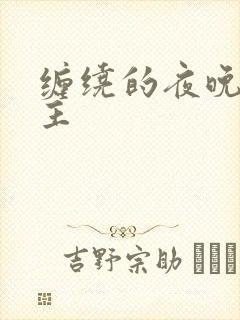 缠绕的夜晚双男主