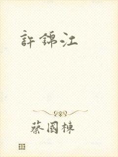 许锦江封面