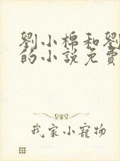 刘小棉和刘易文的小说免费阅读