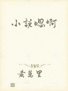 小说嗯啊封面