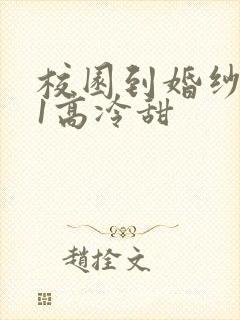 校园到婚纱1V1高冷甜