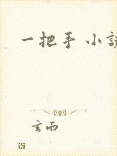一把手 小说