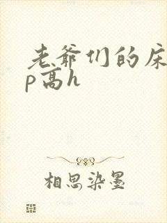 老爷们的床奴np高h