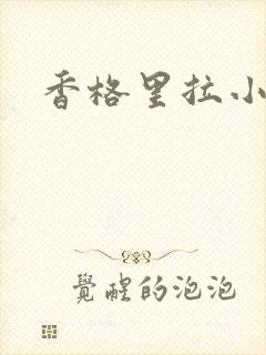 香格里拉小说