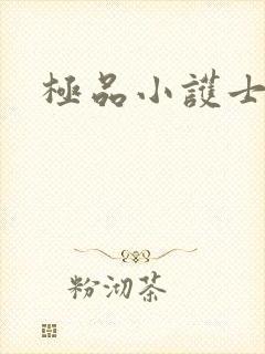 极品小护士封面