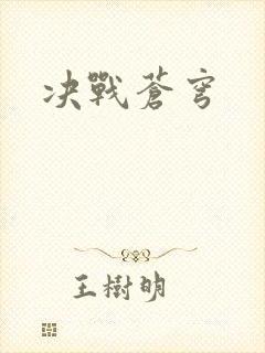 决战苍穹