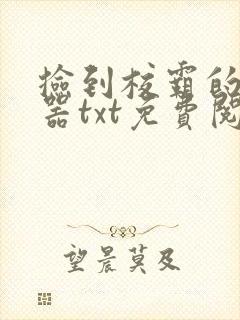 捡到校霸的遥控器txt免费阅读