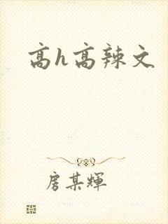 高h高辣文封面