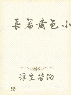 长篇黄色小说