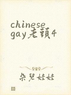 chinesegay老头4封面