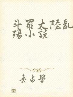 斗罗大陆乱世浮殇小说