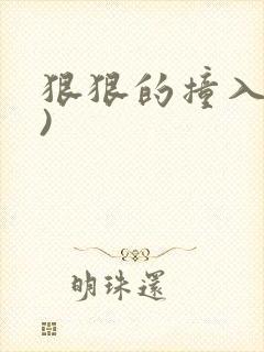 狠狠的撞入(h)