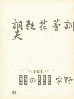 调教花蒂训诫从夫