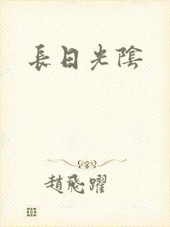 长日光阴封面