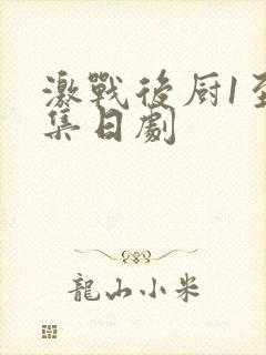 激战后厨1至5集日剧