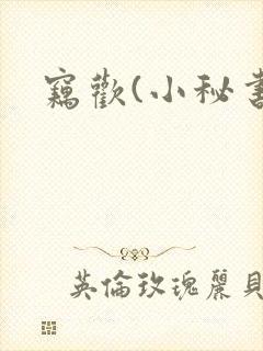 窃欢(小秘书)