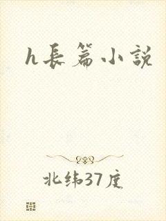 h长篇小说封面