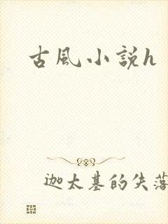 古风小说h