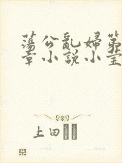 荡公乱妇第51章小说小莹