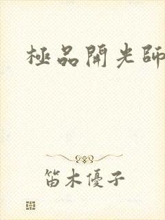 极品开光师封面